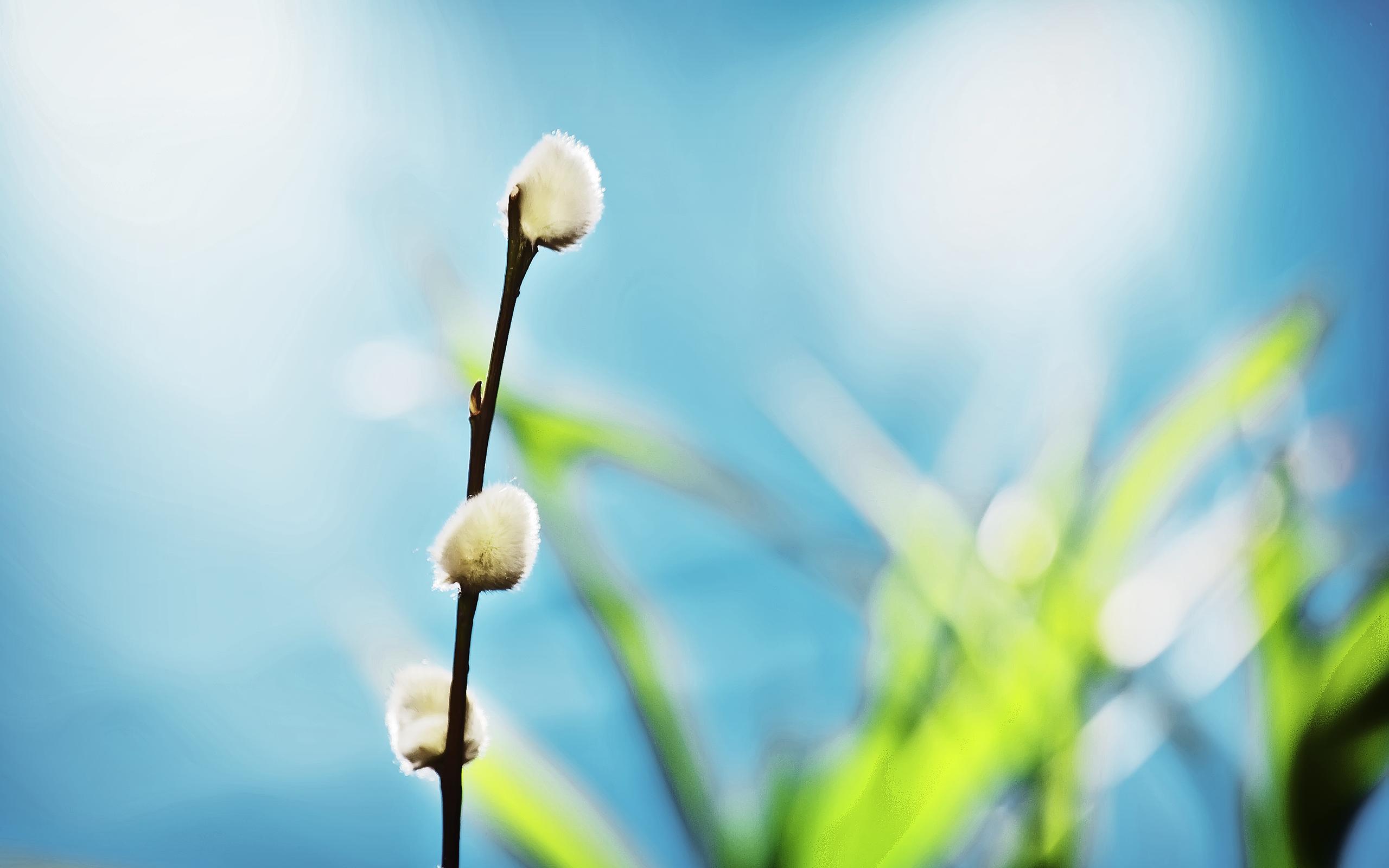 1920 x 1080 HD Wallpapers 222